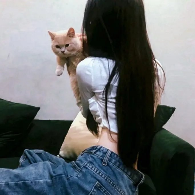 快餐车粤语