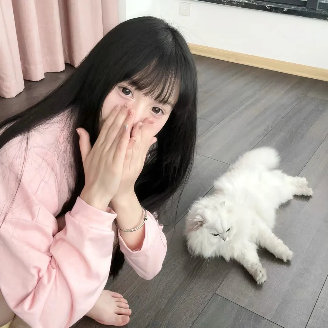 鳄鱼藏尸日记